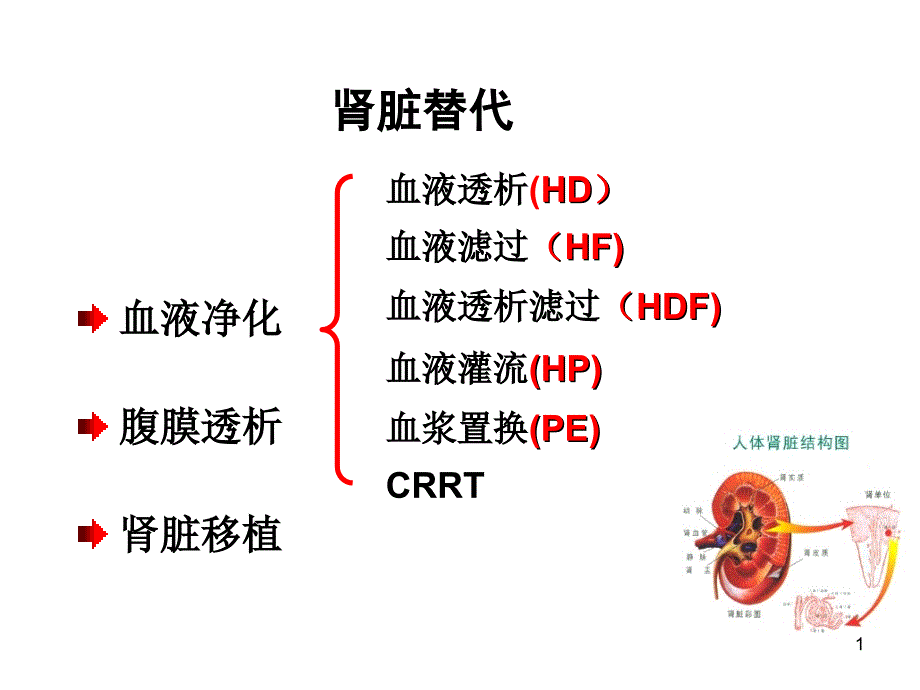 连续性肾脏替代治课件_第1页