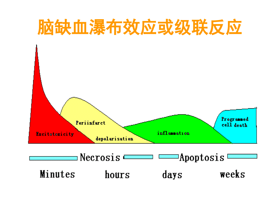 脑梗死的分型与分期治疗课件_第3页