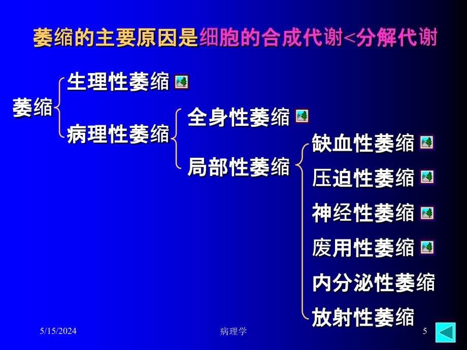 病理学组大纲-ppt文档课件_第5页