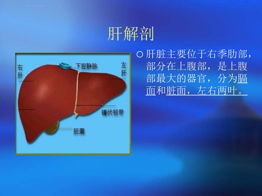 肝脏影像学幻灯片_第2页