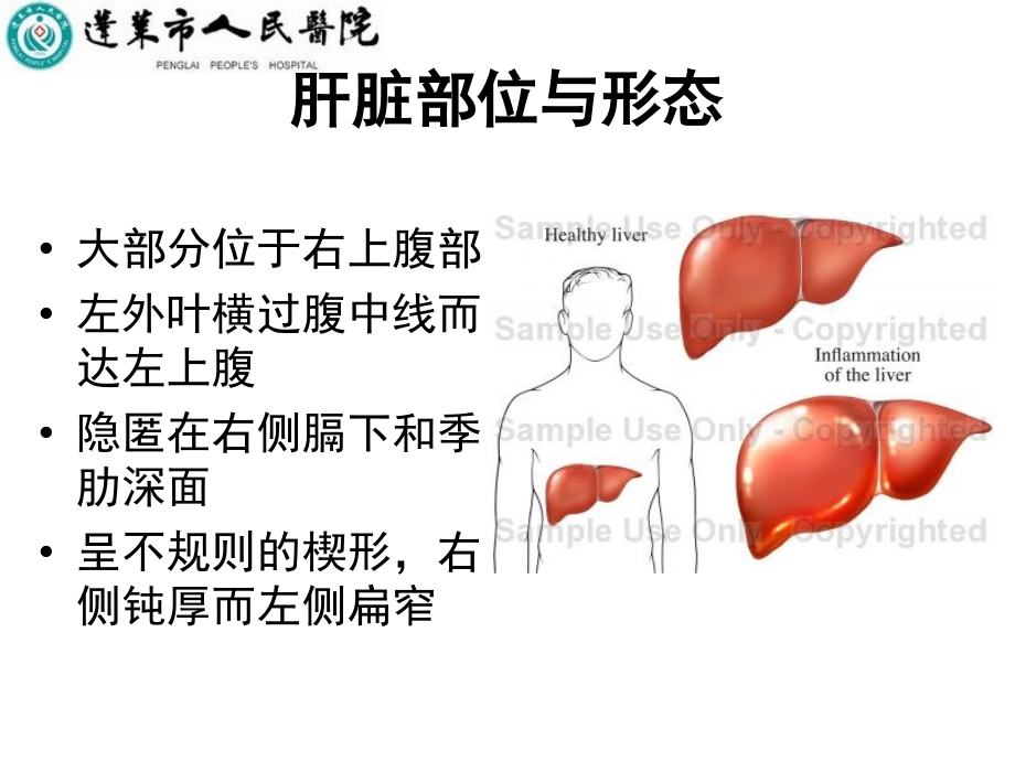 肝脏疾病1介绍课件_第4页