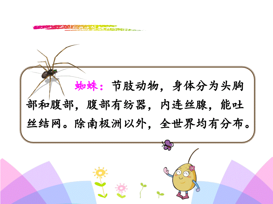 20蜘蛛开店课件.ppt_第4页