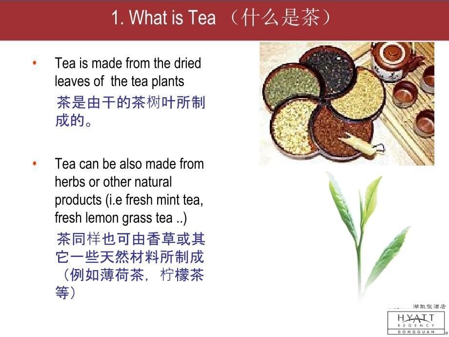 凯悦酒店 “茶”的基本知识 12 Tea_第5页