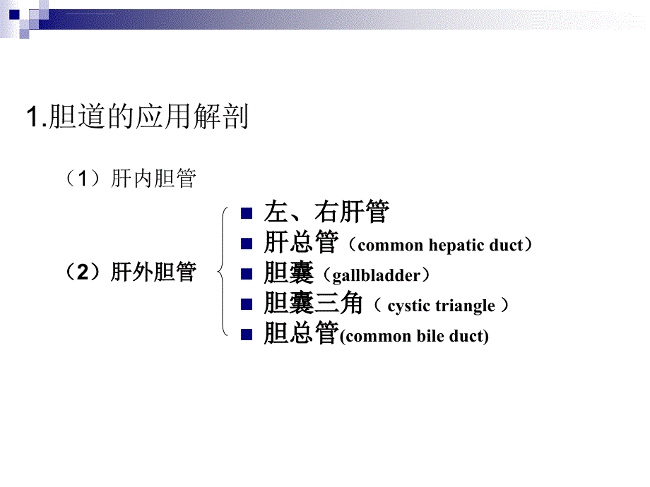 胆道疾病ppt文档课件_第2页