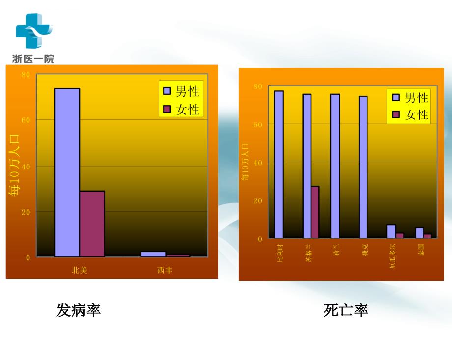 浙江住院病历检查评分表2008版-浙江大学教学信息化平台课件_第4页