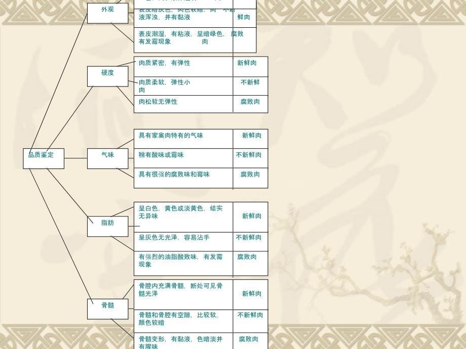 中餐热菜 教学课件 ppt 作者 徐小林 走进家畜王国_第5页