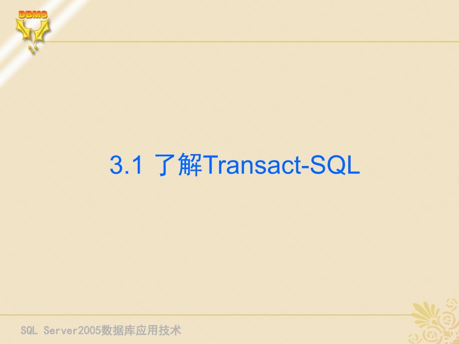 SQL Server 2005 数据库应用技术 教学课件 ppt 作者 刘宏 第3章 使用Transact-SQL语言 _第2页