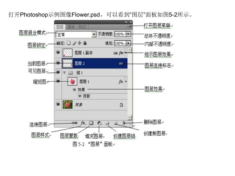 Photoshop图像编辑与处理 教学课件 ppt 作者 沈洪 朱军 等 5.2 5.2  “图层”面板的使用_第2页