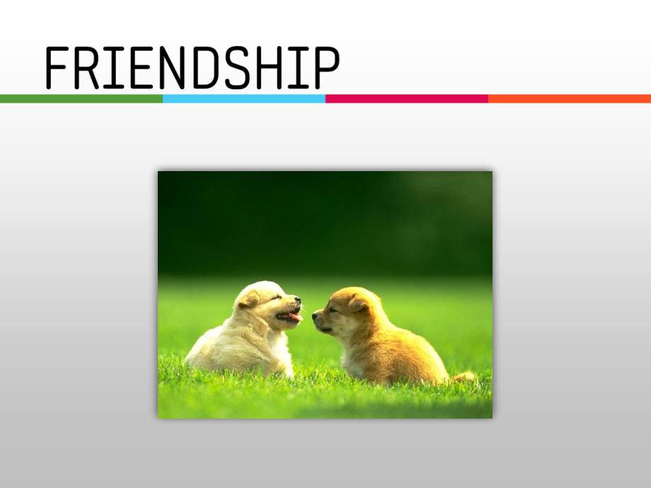 友谊 friendship 英语课件_第3页