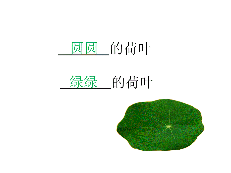 《课文13：荷叶圆圆》 第3套 【省一等奖】优质课_第3页