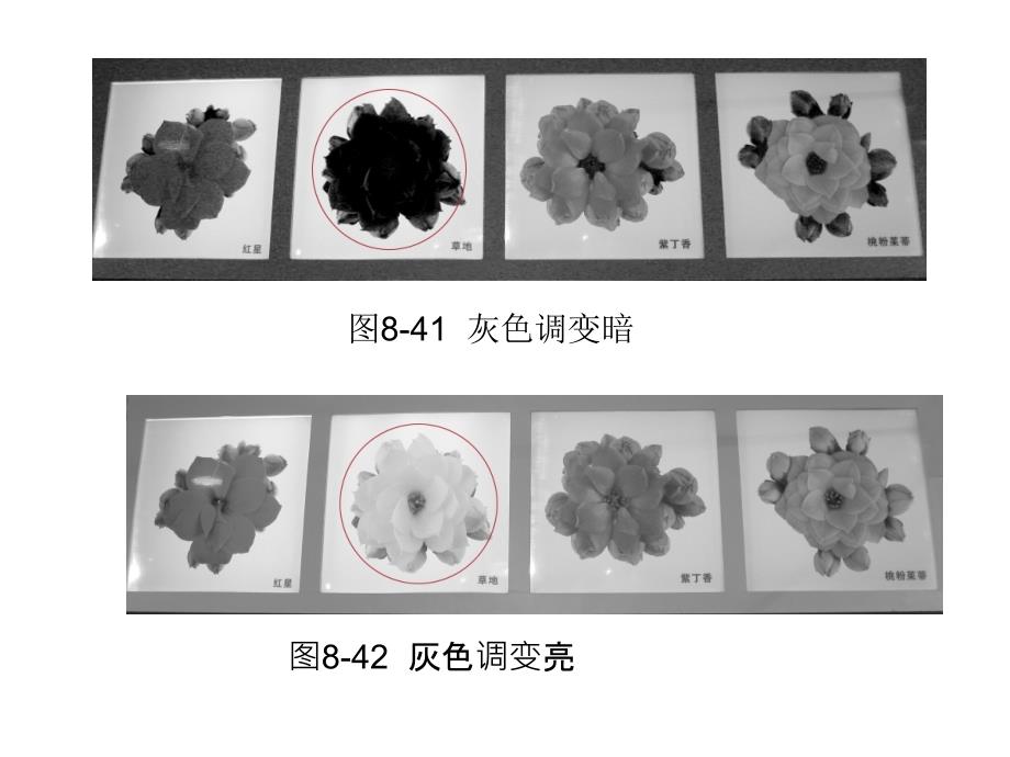 Photoshop图像编辑与处理 教学课件 ppt 作者 沈洪 朱军 等 8.2  图像色彩调整 8.2.6  黑白_第3页