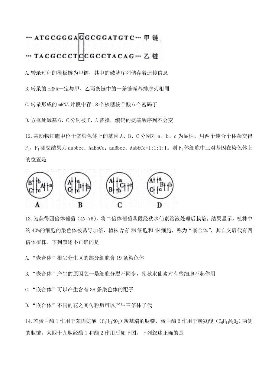 天津市和平区2018届高三上学期期末考试 生物试卷含答案_第5页