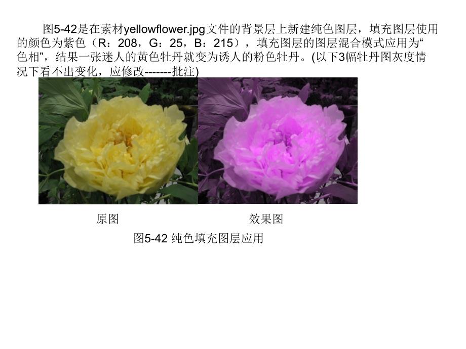 Photoshop图像编辑与处理 教学课件 ppt 作者 沈洪 朱军 等 5.3 5.3.5 新建填充图层_第4页