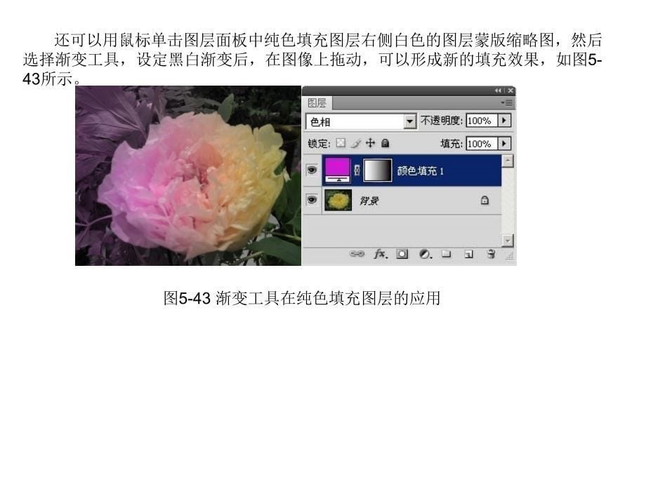 Photoshop图像编辑与处理 教学课件 ppt 作者 沈洪 朱军 等 5.3 5.3.5 新建填充图层_第5页
