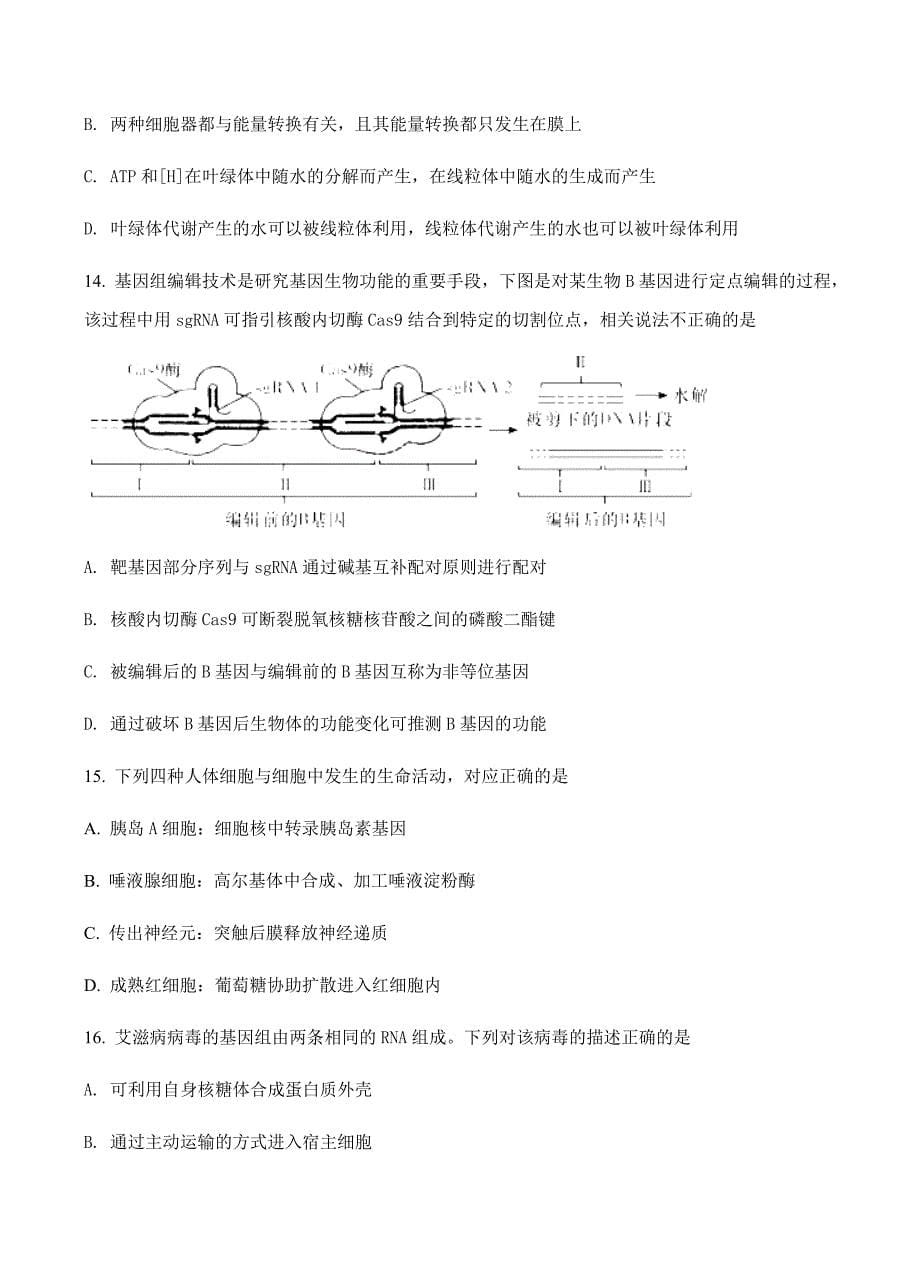 陕西省黄陵中学2018届高三（重点班）上学期期末考试生物试卷含答案_第5页