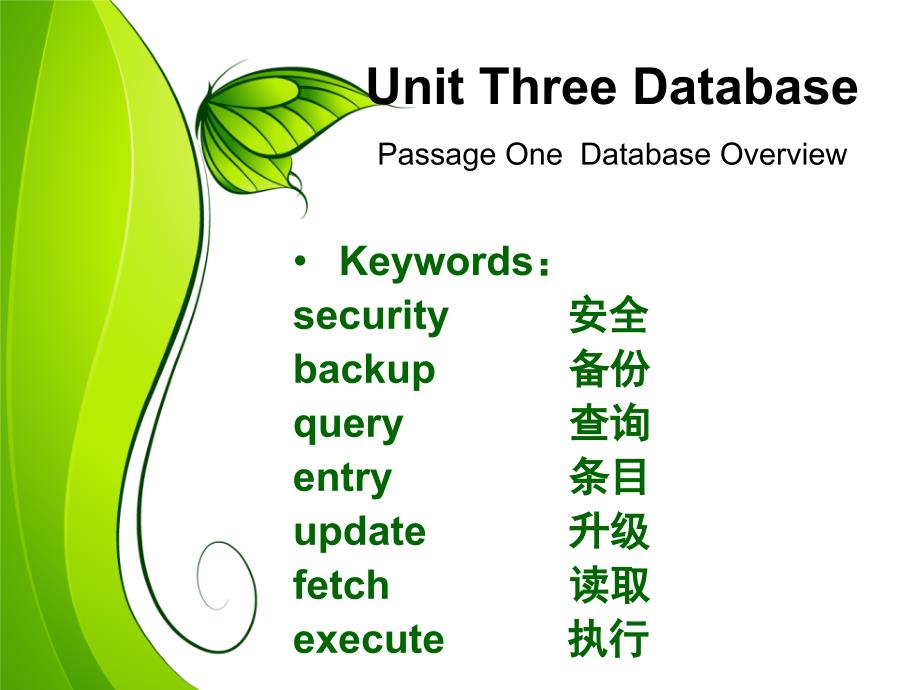 计算机专业英语实用教程 教学课件 ppt 作者 梁晓晖 计算机专业英语（数据库1）_第3页