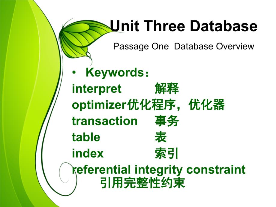 计算机专业英语实用教程 教学课件 ppt 作者 梁晓晖 计算机专业英语（数据库1）_第4页