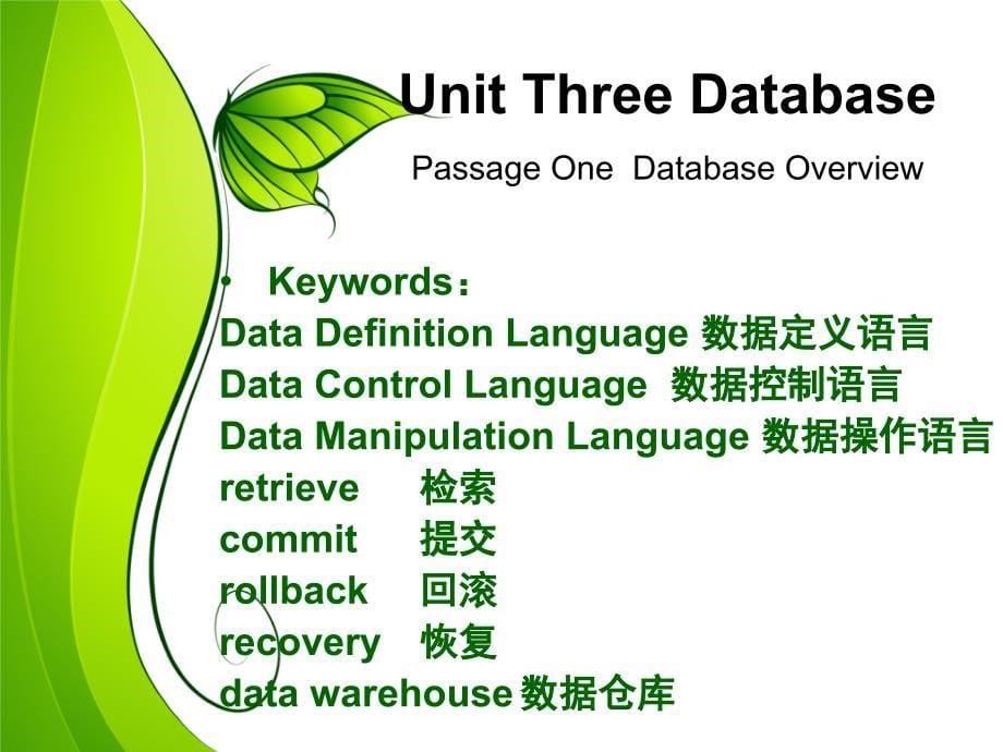 计算机专业英语实用教程 教学课件 ppt 作者 梁晓晖 计算机专业英语（数据库1）_第5页