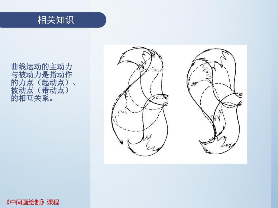 中间画绘制 教学课件 ppt 作者 葛玉慧 学习单元1 绘制简单中间画 任务8 绘制松鼠尾巴摆动中间画_第3页