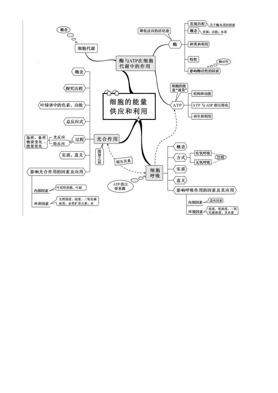 高中生物复习思维导图较高清最全WORD版本-方便打印。_第4页