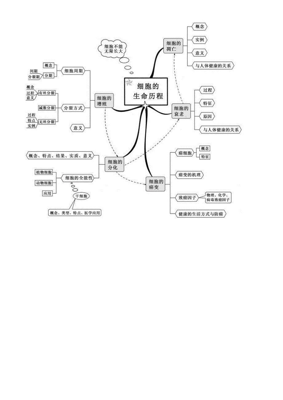 高中生物复习思维导图较高清最全WORD版本-方便打印。_第5页