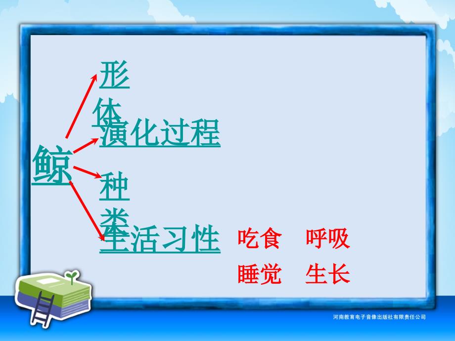 五年级-第三单元--鲸_第4页