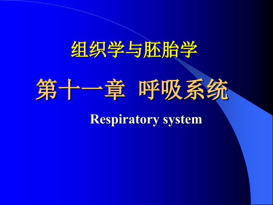 (组胚)呼吸系统_第1页