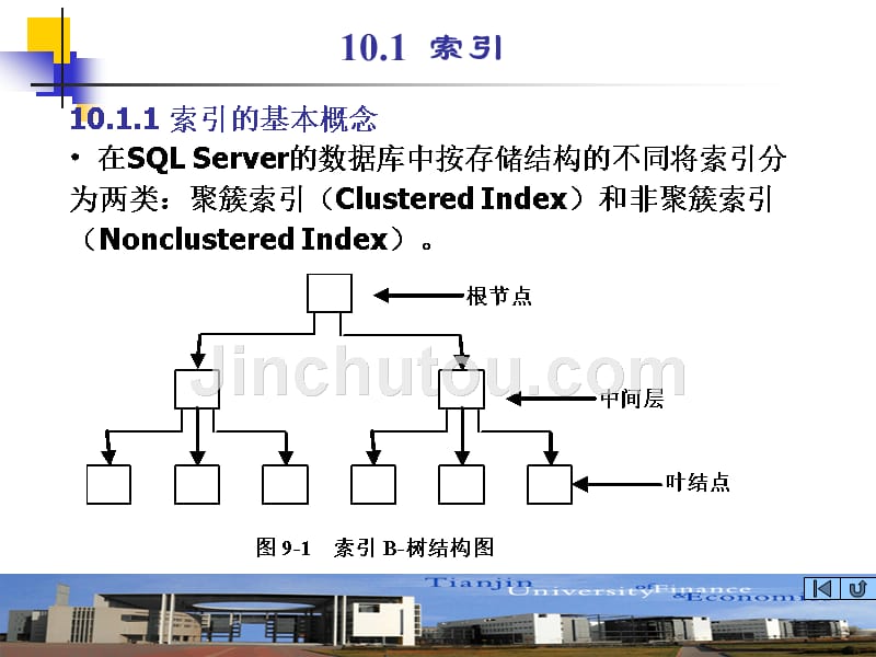 数据库技术与应用 教学课件 ppt 作者 严冬梅 第10章 索引和视图_第4页