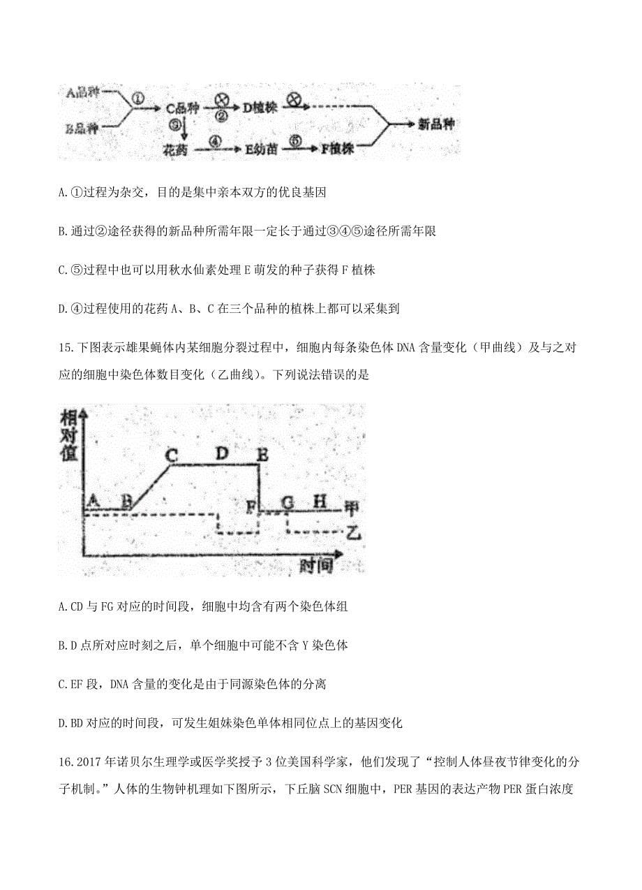 四川省德阳市2018届高三一诊考试生物试卷 含答案_第5页