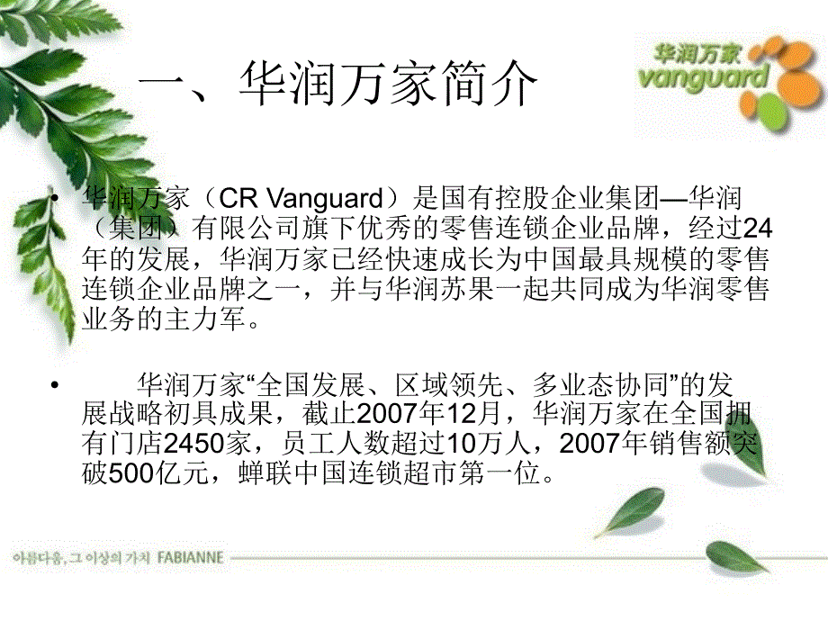 华润万家环境分析_第3页