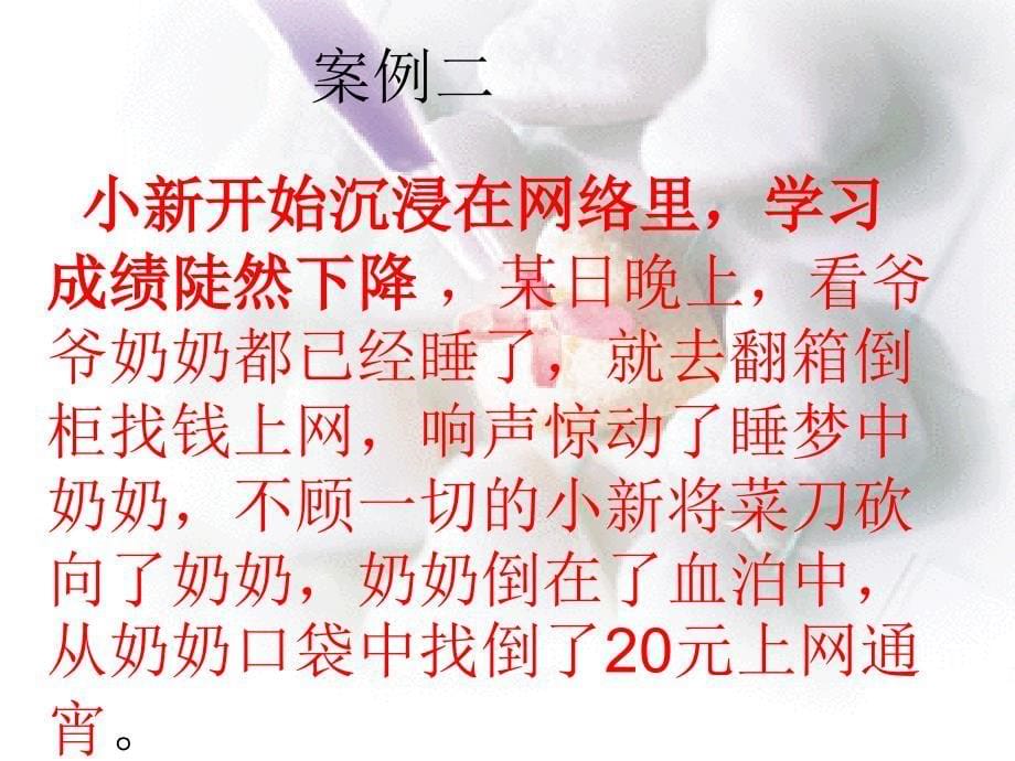 法制教育主题班会27037_第5页