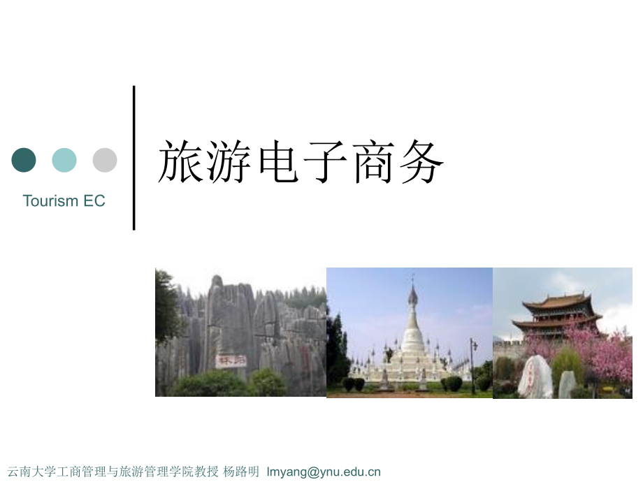 旅游电子商务 教学课件 ppt 作者 杨路明 旅游电子商务04_第1页