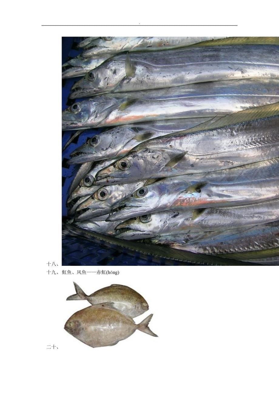 海鲜鱼类图片资料_第5页