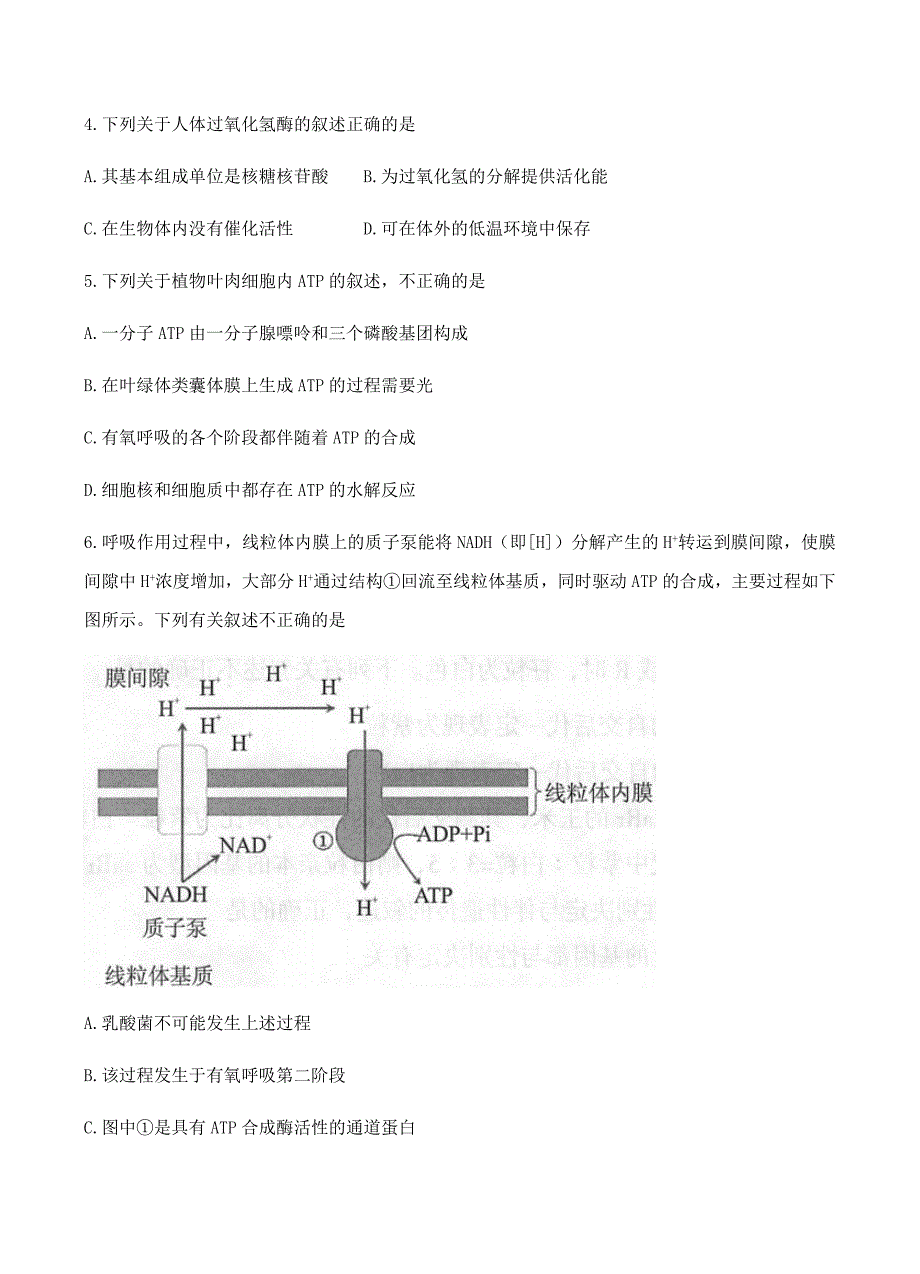 北京市丰台区2018届高三上学期期末考试生物试卷 含答案_第2页