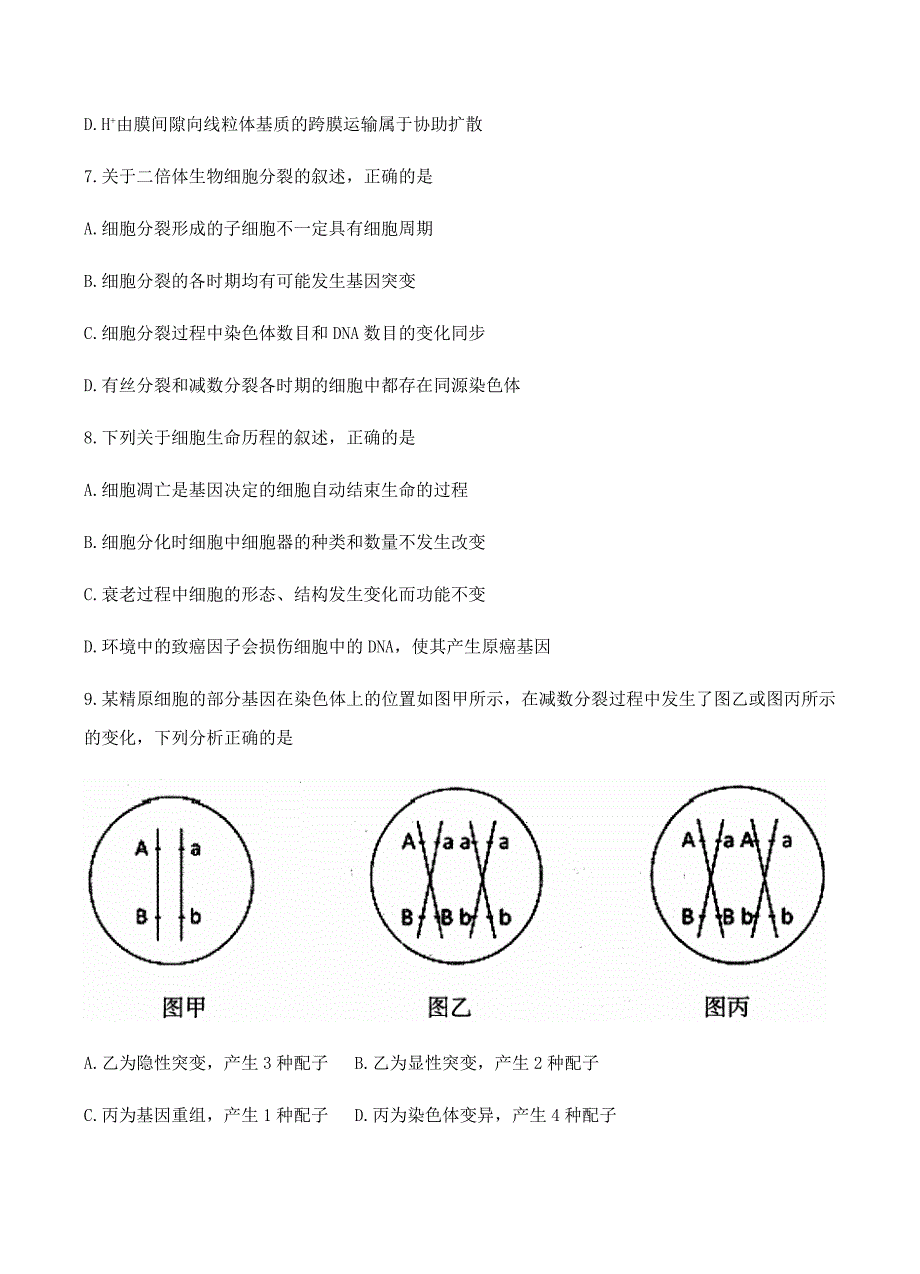 北京市丰台区2018届高三上学期期末考试生物试卷 含答案_第3页