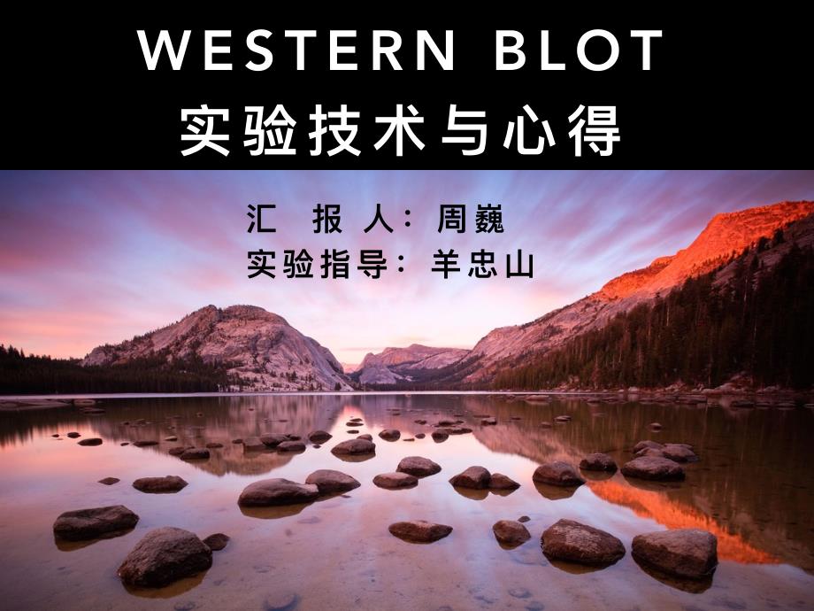 western blot 实验技术及心得_第1页