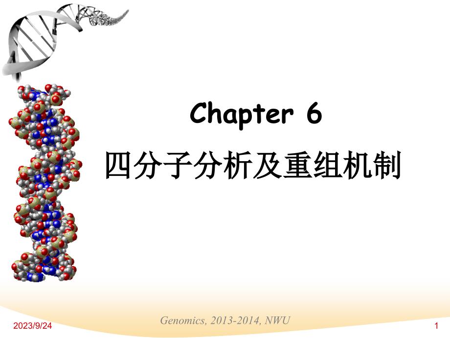 chapter 5 四分子分析及重组机制_第1页