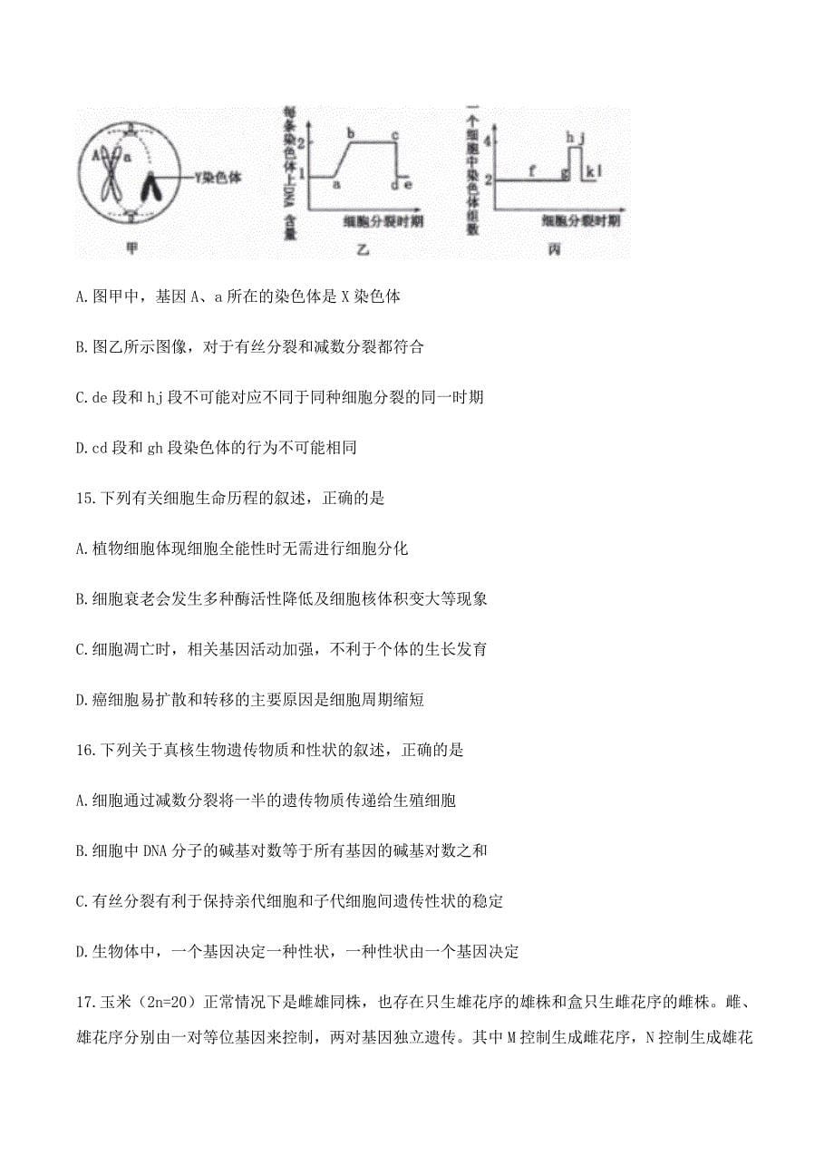 河南省洛阳市2018届高三上学期第一次统一考试（12月）生物试卷 含答案_第5页