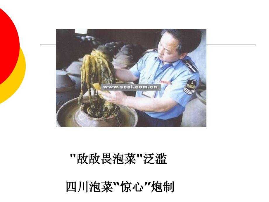 第五章  食品中农药残留_第2页