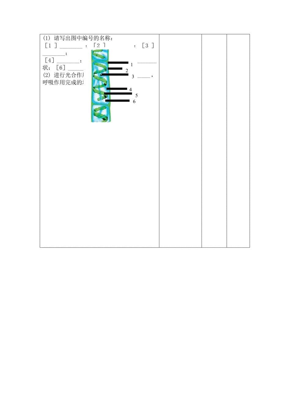 秋济南七上第一节《绿色植物的主要类群》word学案【精品教案】.doc_第5页