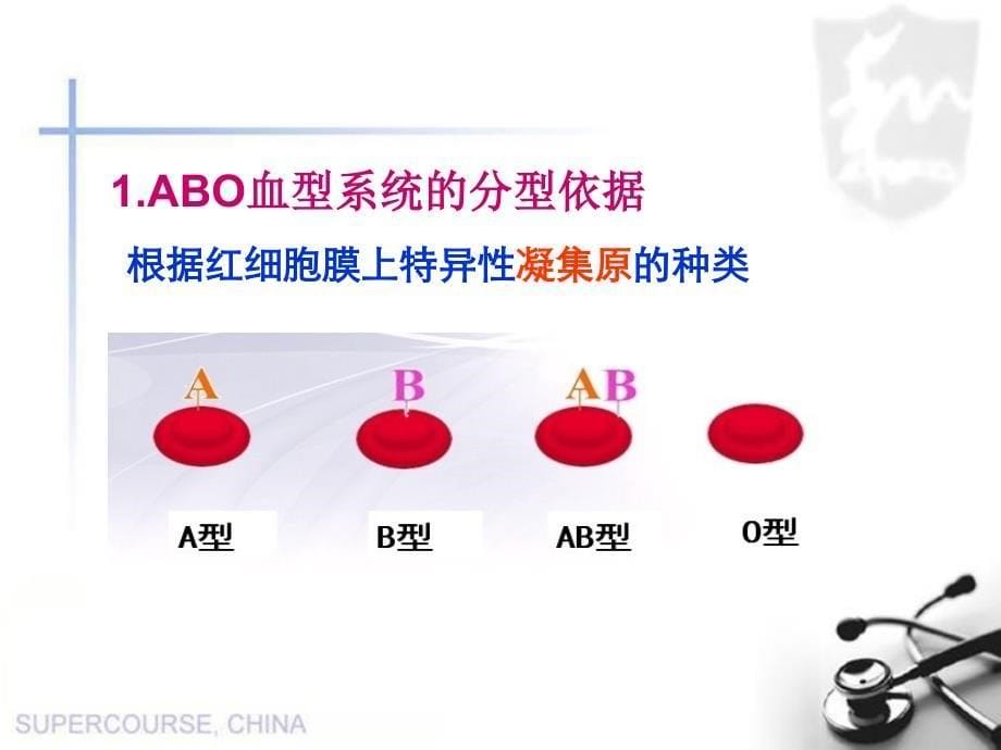 血型与输血创新杯说课大赛国赛说课课件_第5页