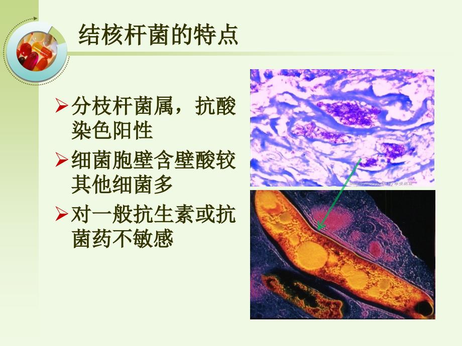 抗结核病药及抗麻风病药-药理学-40_第4页