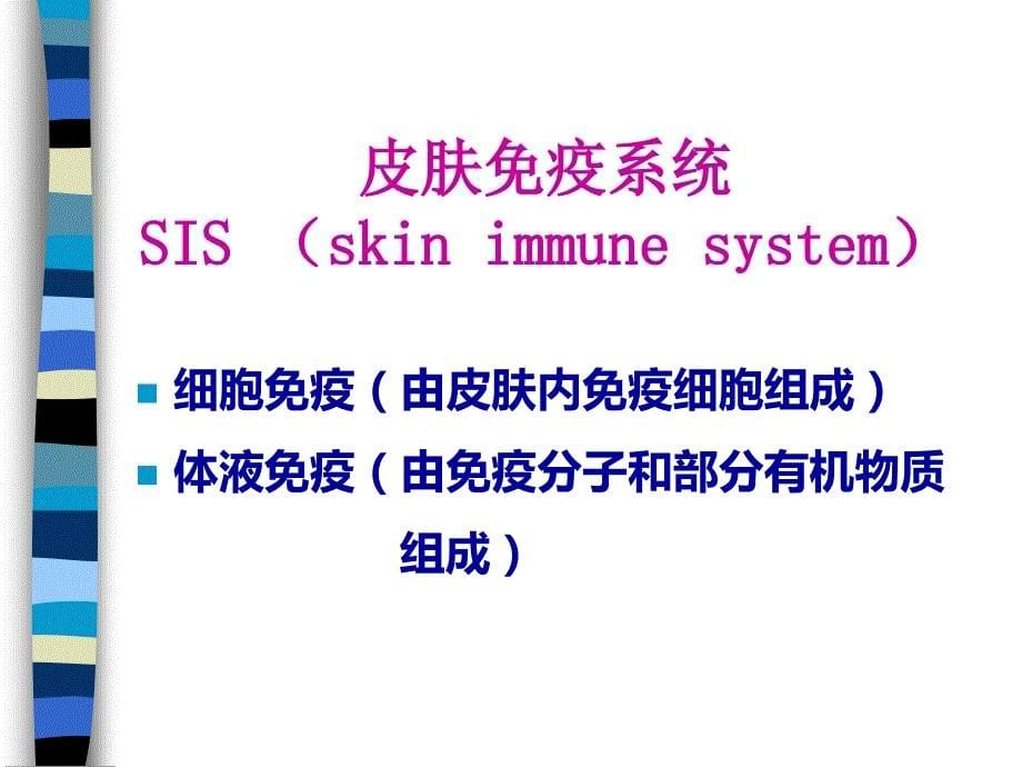 皮肤免疫系统_第5页