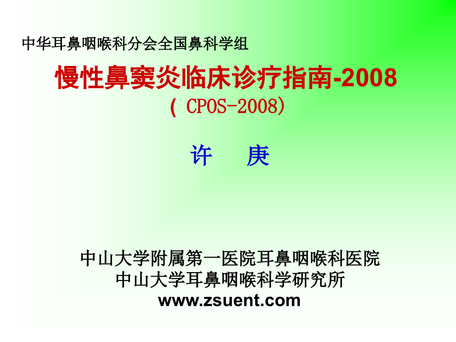 慢性鼻窦炎临床诊疗指南-2008(许庚)_第1页