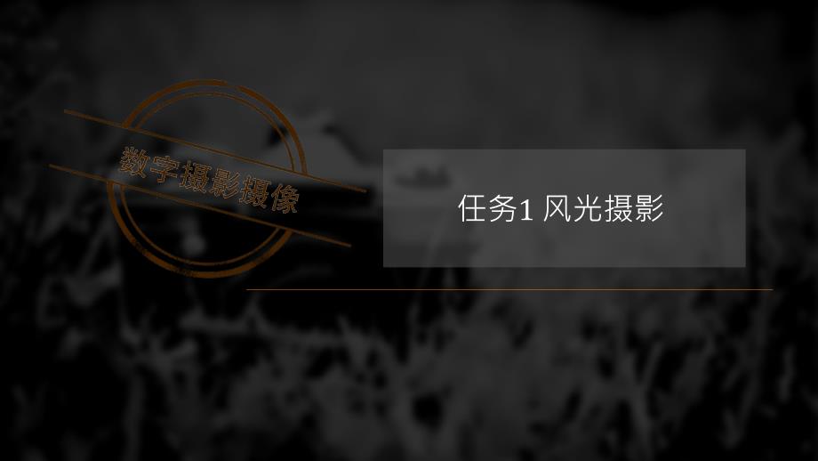 项目3 题材拍摄创新杯说课大赛国赛说课课件_第2页