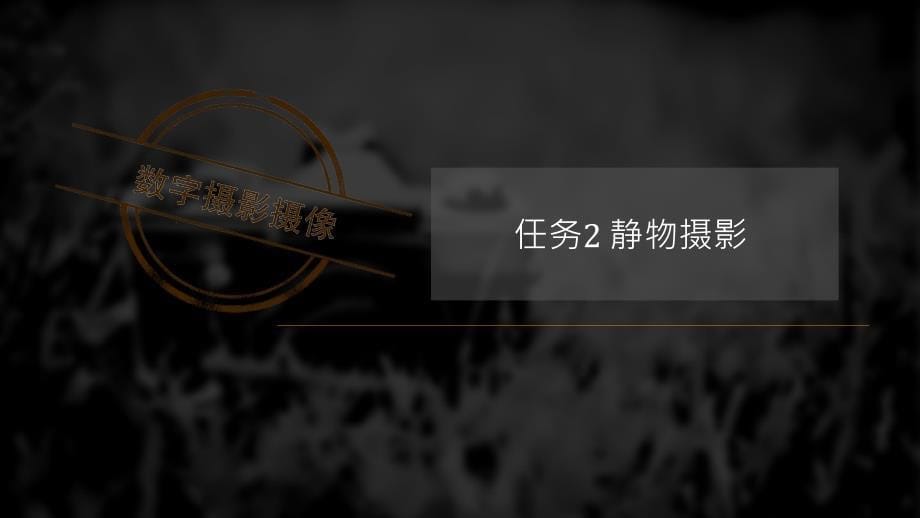 项目3 题材拍摄创新杯说课大赛国赛说课课件_第5页