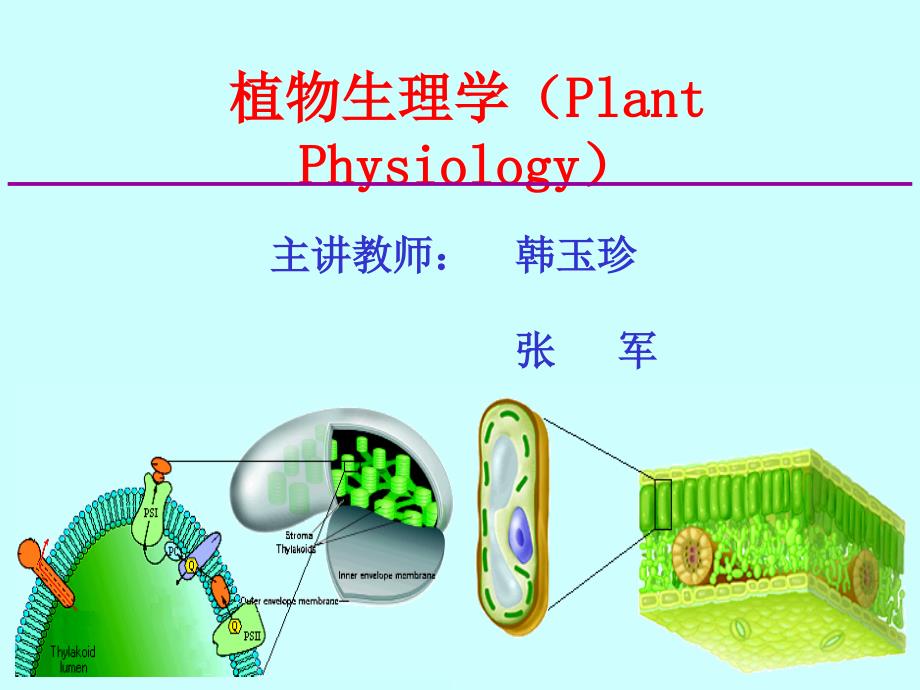 农学植物生理学植物生理学绪论_第1页