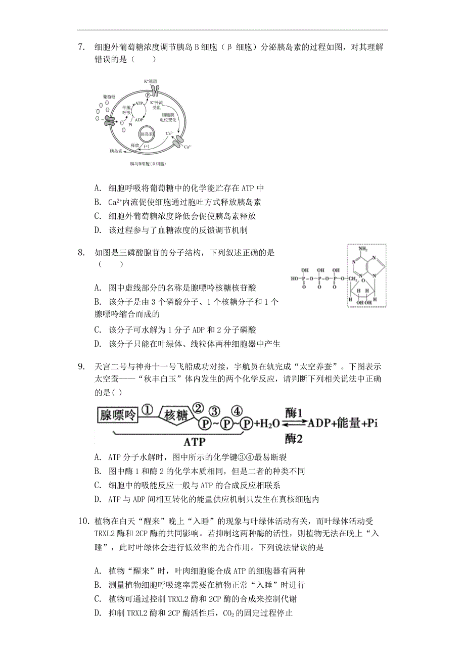 高三生物专项训练试题：ATP的分子结构和功能（含答案)_第2页