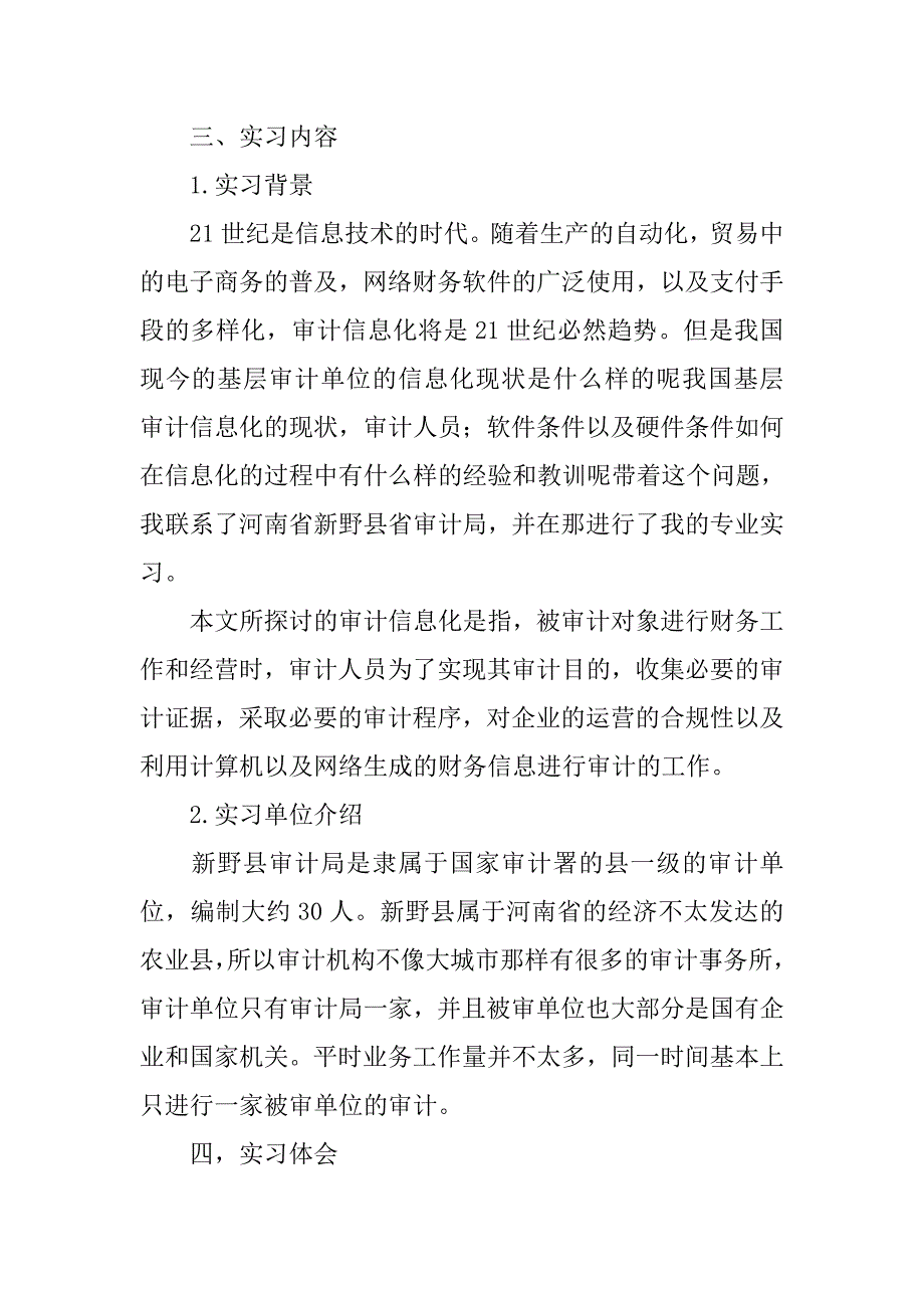 13年审计实习报告_第2页