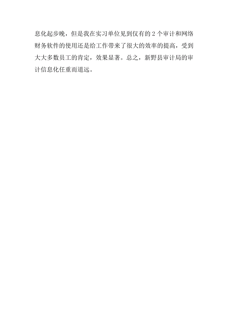 13年审计实习报告_第4页